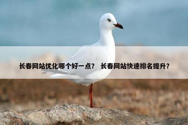 长春网站优化哪个好一点？ 长春网站快速排名提升？