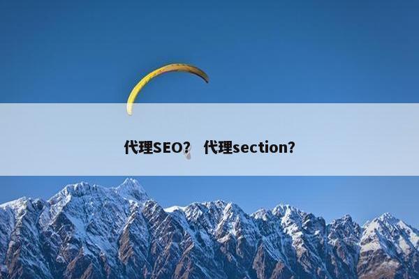 代理SEO？ 代理section？
