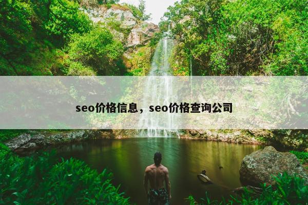 seo价格信息，seo价格查询公司