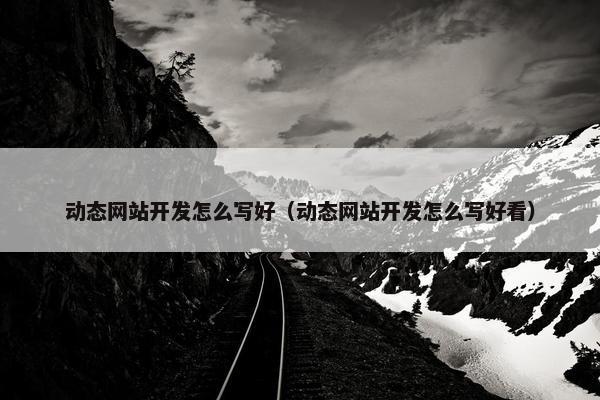 动态网站开发怎么写好（动态网站开发怎么写好看）