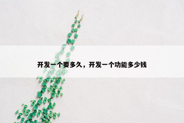 开发一个要多久，开发一个功能多少钱