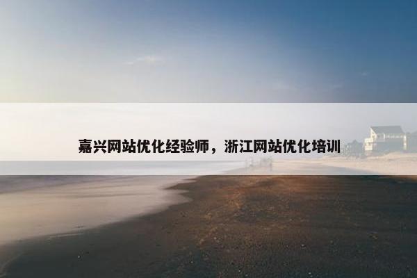 嘉兴网站优化经验师，浙江网站优化培训