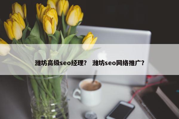 潍坊高级seo经理？ 潍坊seo网络推广？