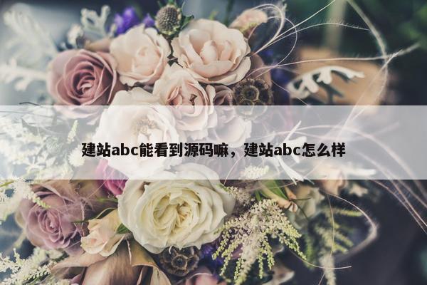 建站abc能看到源码嘛，建站abc怎么样