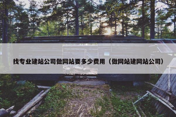 找专业建站公司做网站要多少费用（做网站建网站公司）