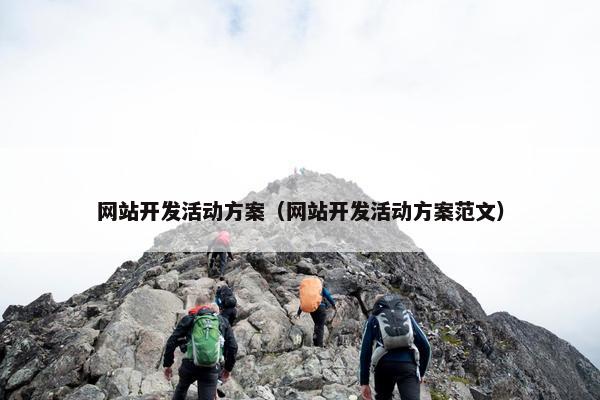 网站开发活动方案（网站开发活动方案范文）