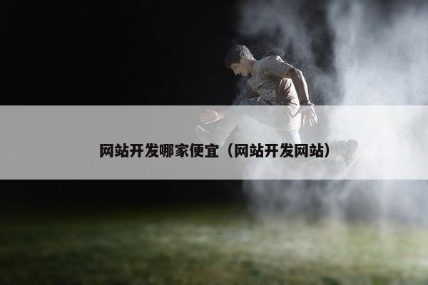 网站开发哪家便宜（网站开发网站）