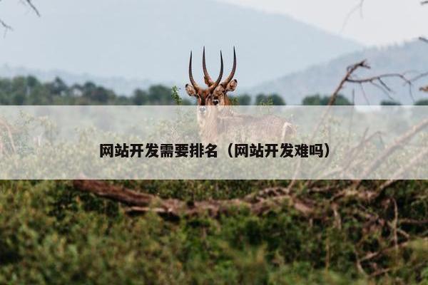 网站开发需要排名（网站开发难吗）