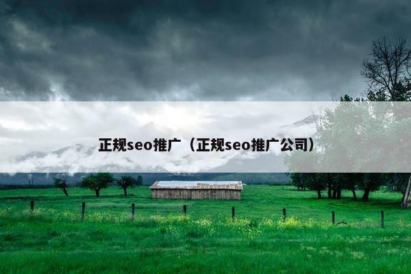 正规seo推广（正规seo推广公司）