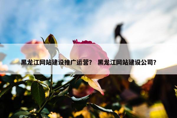 黑龙江网站建设推广运营？ 黑龙江网站建设公司？