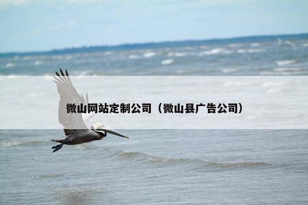 微山网站定制公司（微山县广告公司）