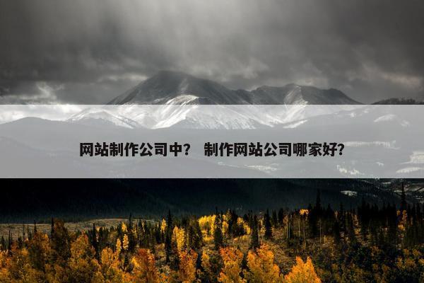 网站制作公司中？ 制作网站公司哪家好？