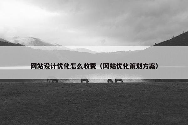 网站设计优化怎么收费（网站优化策划方案）