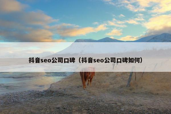 抖音seo公司口碑（抖音seo公司口碑如何）