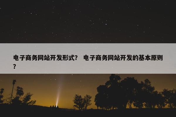 电子商务网站开发形式？ 电子商务网站开发的基本原则？