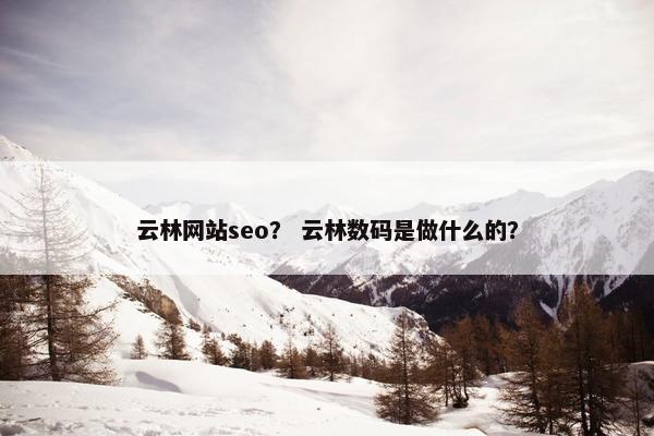 云林网站seo？ 云林数码是做什么的？