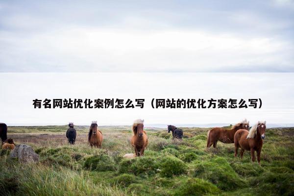 有名网站优化案例怎么写（网站的优化方案怎么写）