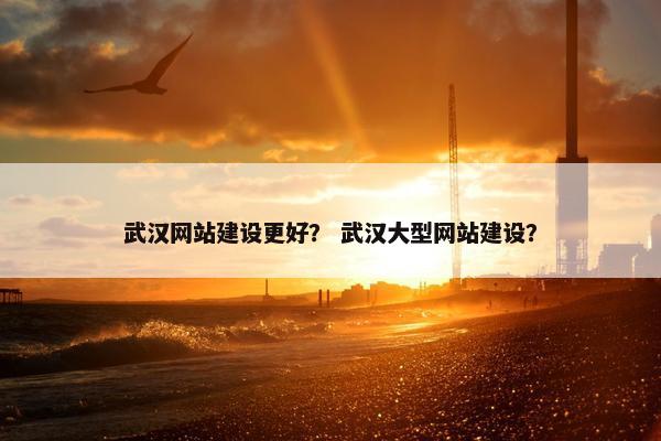 武汉网站建设更好？ 武汉大型网站建设？