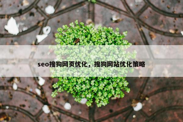 seo搜狗网页优化，搜狗网站优化策略