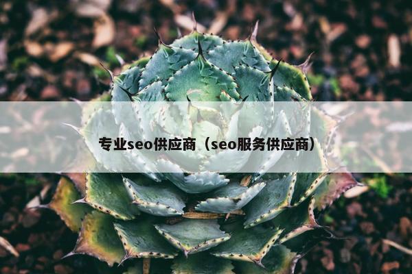 专业seo供应商（seo服务供应商）