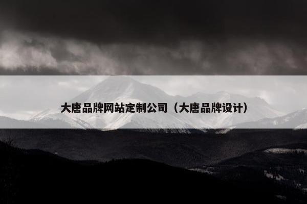 大唐品牌网站定制公司（大唐品牌设计）