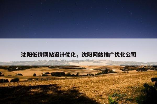 沈阳低价网站设计优化，沈阳网站推广优化公司