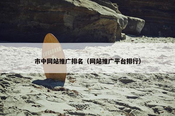 市中网站推广排名（网站推广平台排行）