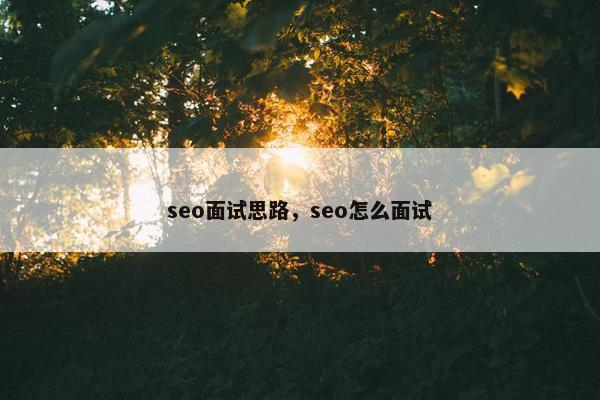 seo面试思路，seo怎么面试