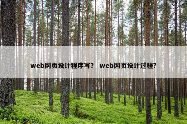 web网页设计程序写？ web网页设计过程？