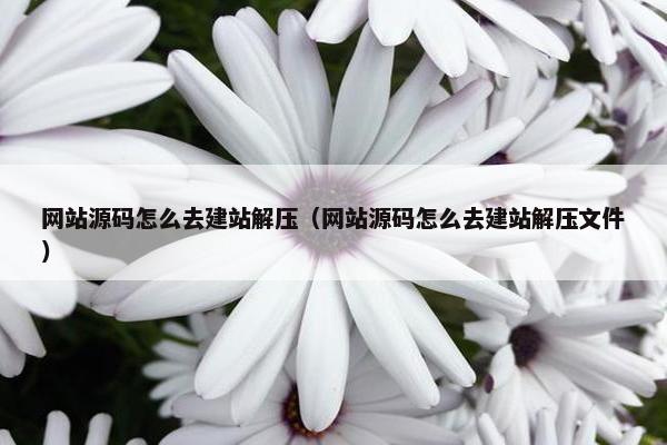 网站源码怎么去建站解压（网站源码怎么去建站解压文件）