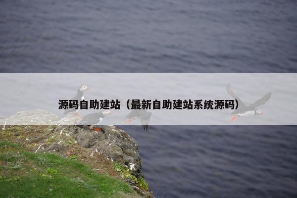 源码自助建站（最新自助建站系统源码）