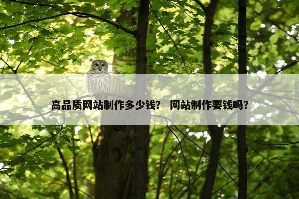 高品质网站制作多少钱？ 网站制作要钱吗？