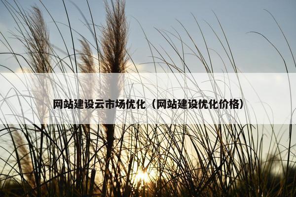 网站建设云市场优化（网站建设优化价格）