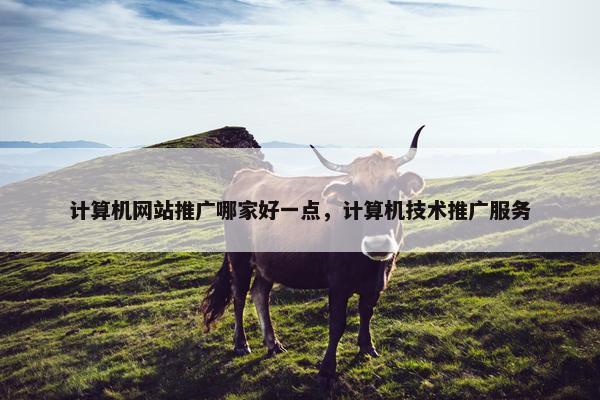 计算机网站推广哪家好一点，计算机技术推广服务