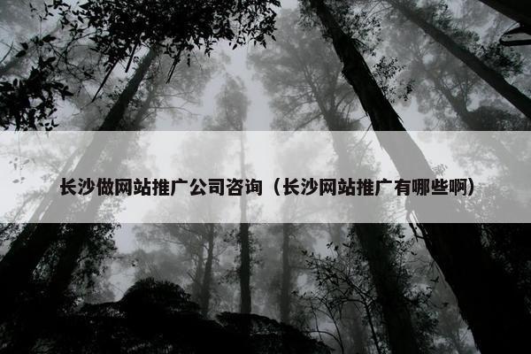 长沙做网站推广公司咨询（长沙网站推广有哪些啊）
