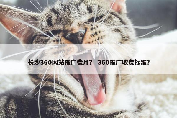 长沙360网站推广费用？ 360推广收费标准？