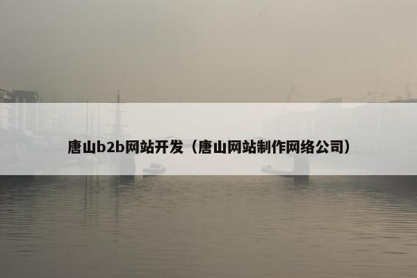 唐山b2b网站开发（唐山网站制作网络公司）