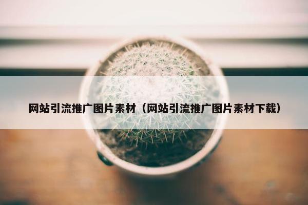 网站引流推广图片素材（网站引流推广图片素材下载）