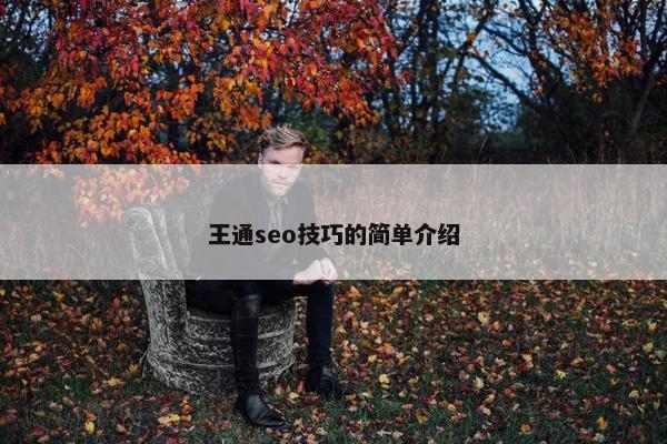 王通seo技巧的简单介绍