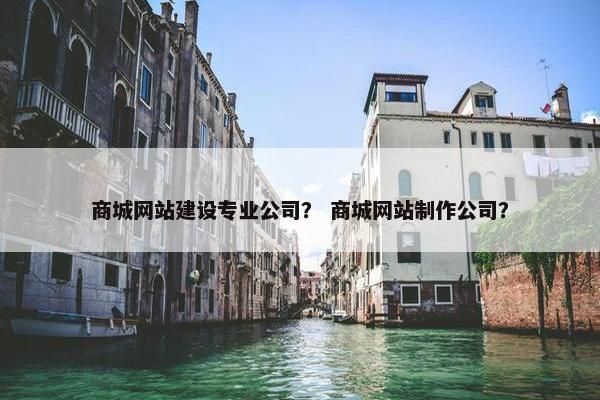 商城网站建设专业公司？ 商城网站制作公司？