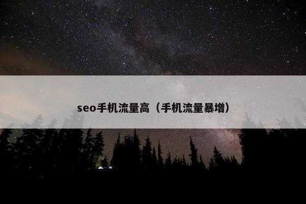 seo手机流量高（手机流量暴增）