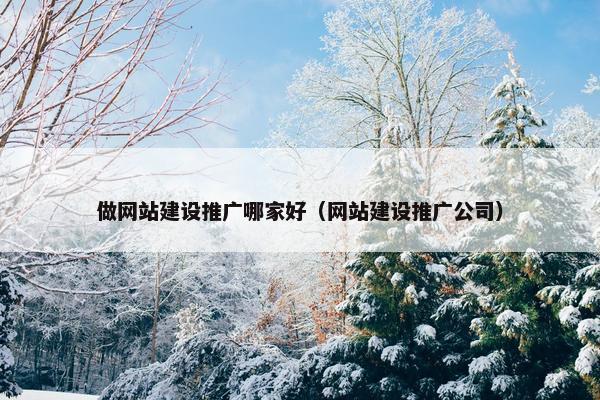 做网站建设推广哪家好（网站建设推广公司）