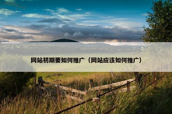 网站初期要如何推广（网站应该如何推广）