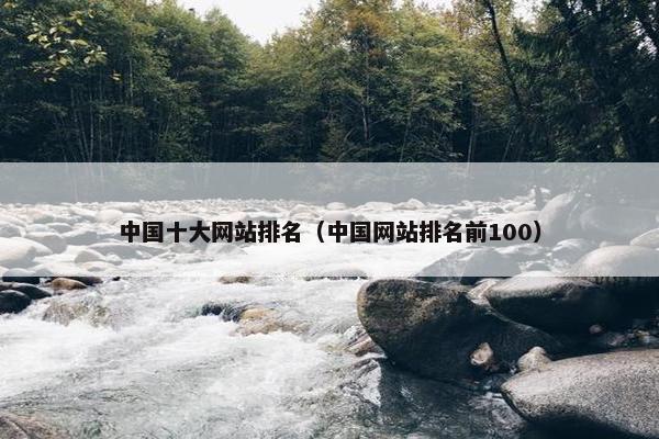 中国十大网站排名（中国网站排名前100）