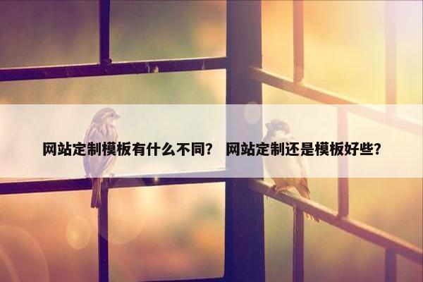 网站定制模板有什么不同？ 网站定制还是模板好些？