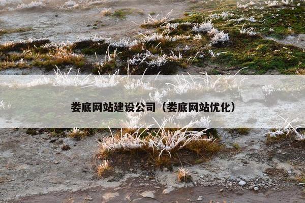 娄底网站建设公司（娄底网站优化）