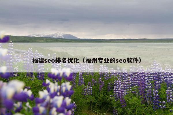 福建seo排名优化（福州专业的seo软件）