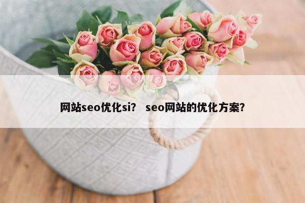 网站seo优化si？ seo网站的优化方案？