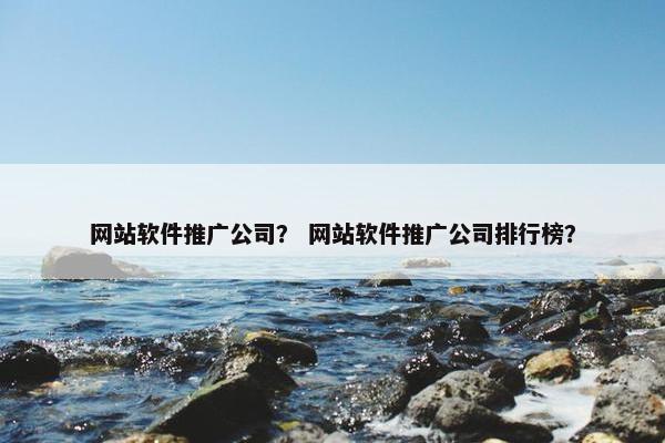 网站软件推广公司？ 网站软件推广公司排行榜？