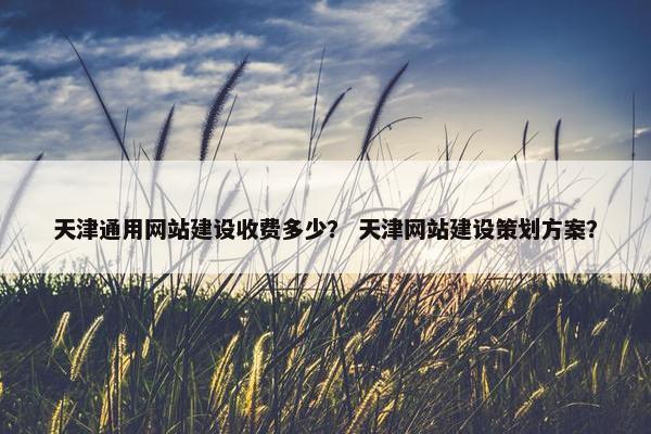 天津通用网站建设收费多少？ 天津网站建设策划方案？